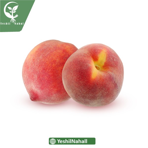 نهال هلو جی اچ هیل